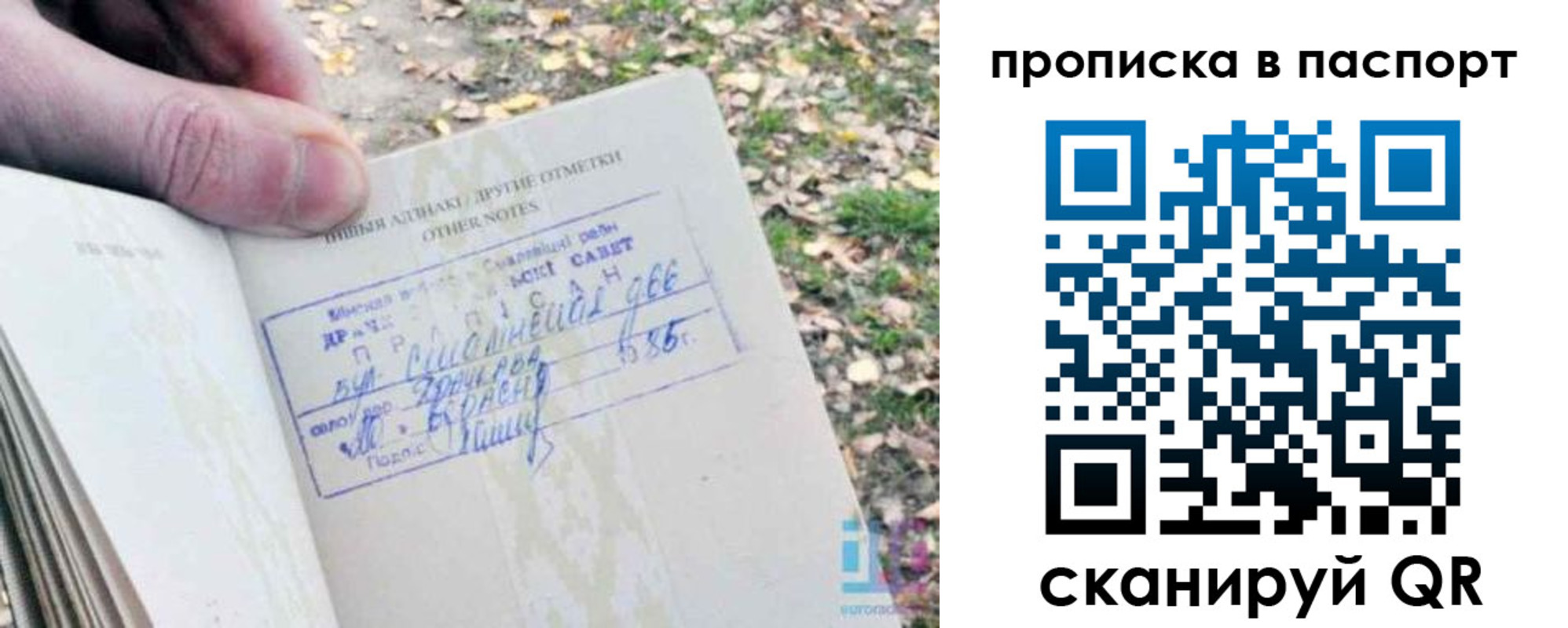 временная регистрация собственник в Элисте